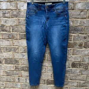 Democracy Dark Blue Ankle Jeans